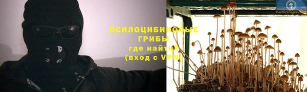 таблы Алзамай