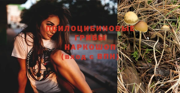 таблы Алзамай