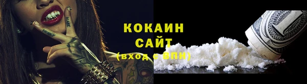 шишки Алексин