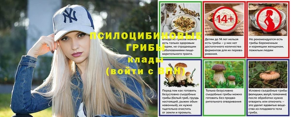 таблы Алзамай