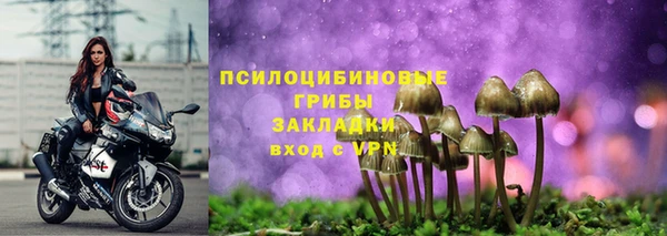 таблы Алзамай