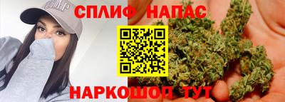 a pvp Белореченск
