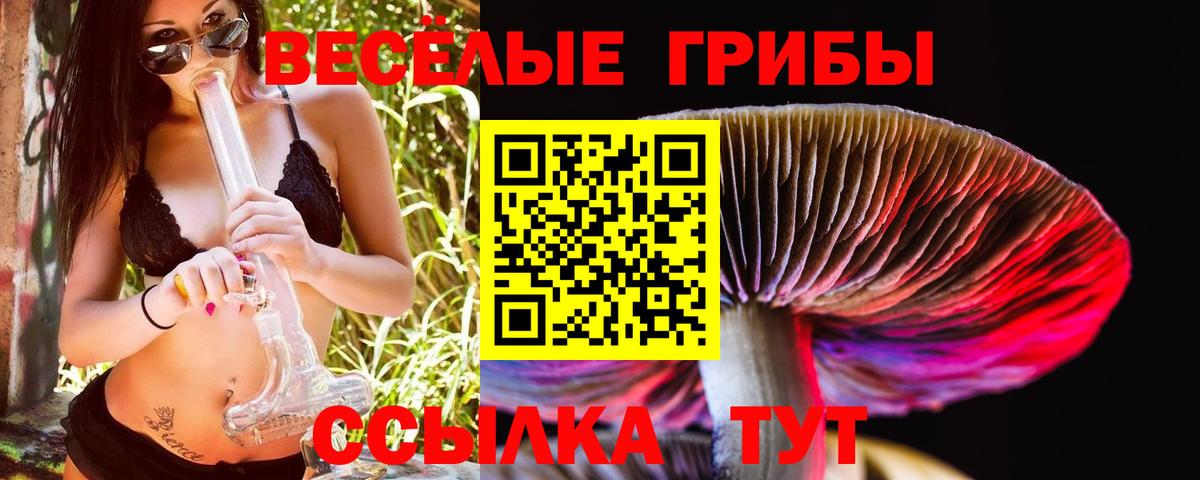 Псилоцибиновые грибы Psilocybe  Вход с VPN  Евпатория 