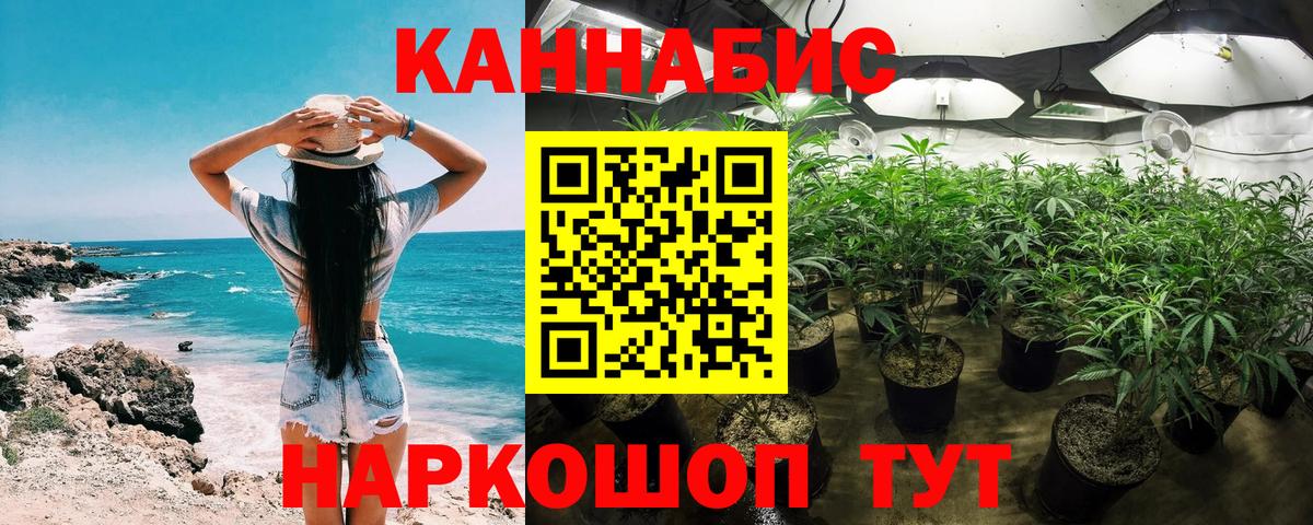Евпатория  Бошки марихуана индика  МАРИХУАНА план  Вход с VPN  Бошки марихуана THC 21% 
